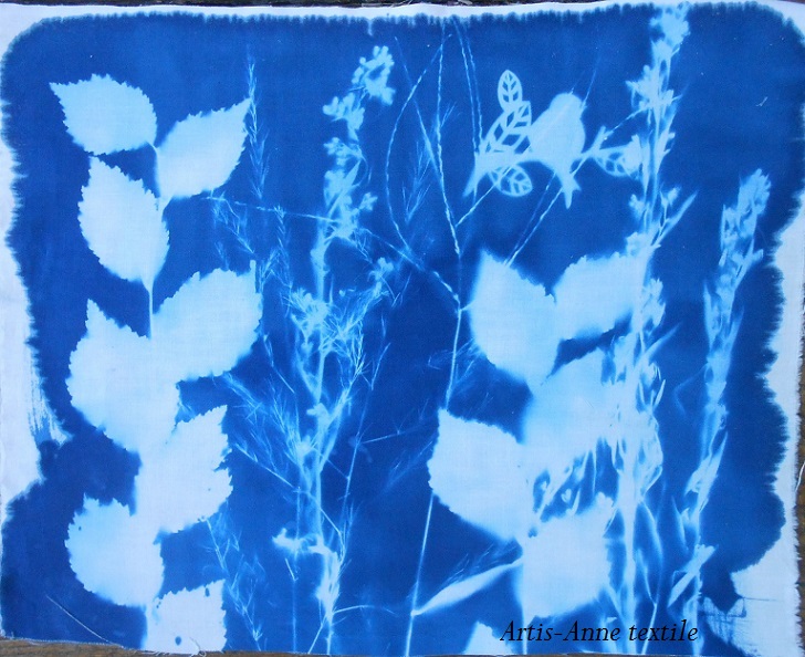 cyanotype