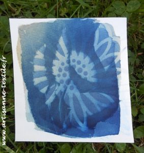 Superposition de 2 cyanotypes