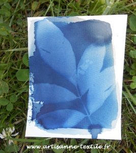 cyanotype, impression soleil
