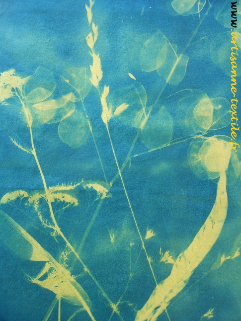 Monnaies du pape sur cyanotypes