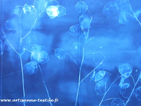 virage de cyanotypes