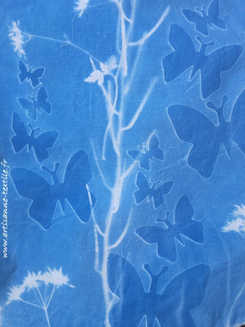 Cyanotypes Bleu de Prusse 1