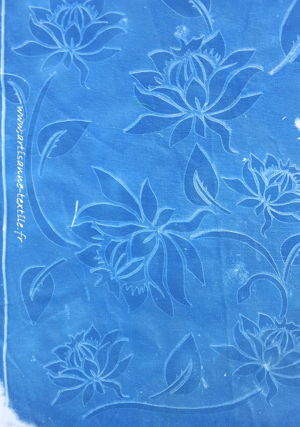 cyanotype des chrysanthèmes