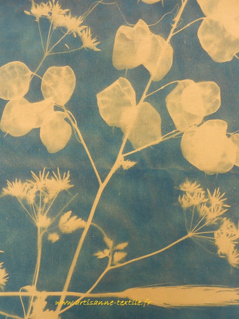 cyanotypes vert et jaune: monnaies du pape