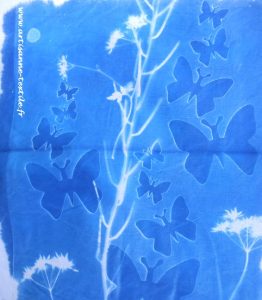 virage de cyanotypes -avant