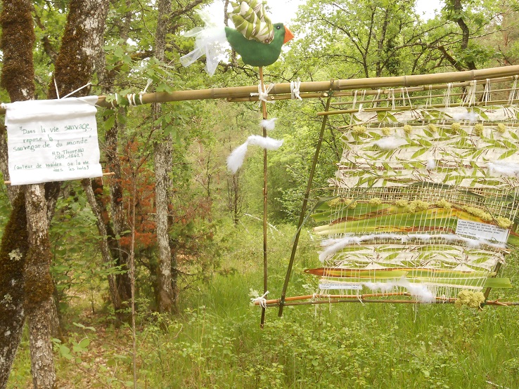 Installation 2013 -3 Causse de Savignac