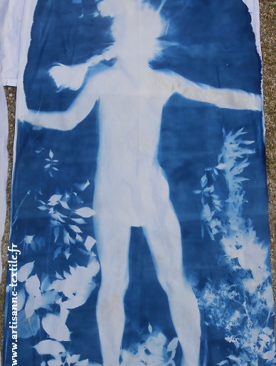 Installation et cyanotype 4