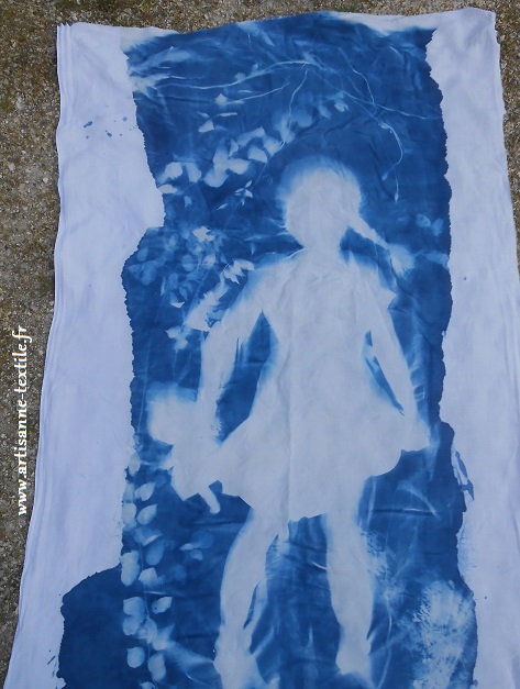 Installation et cyanotype