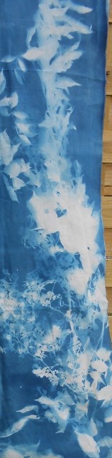 details installation cyanotype Causse 1