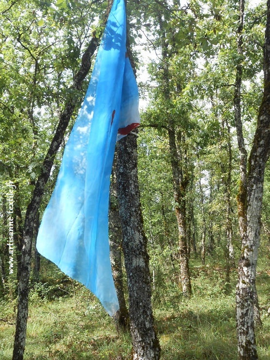 Installation et cyanotype sur le Causse