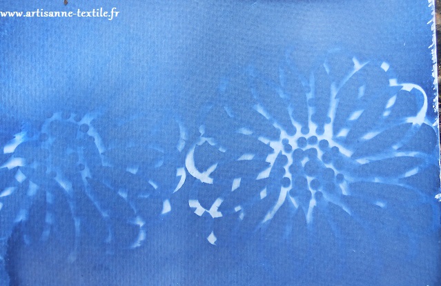 essais cyanotypes sur papier 1