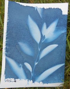 carte avec cyanotype 1