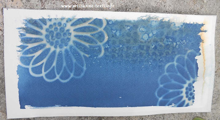 cyanotype et sel 1