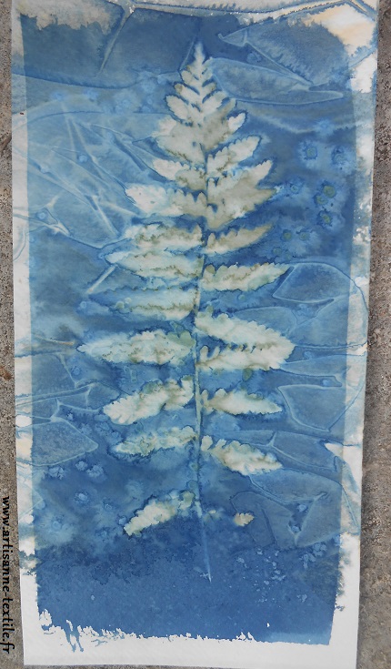 cyanotype sur papier et eau vinaigrée 3