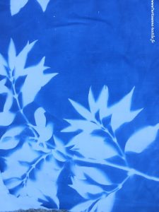 Cyanotype- rebrodé avant broderie