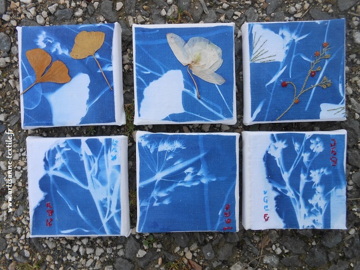 6 mini-cyanotypes