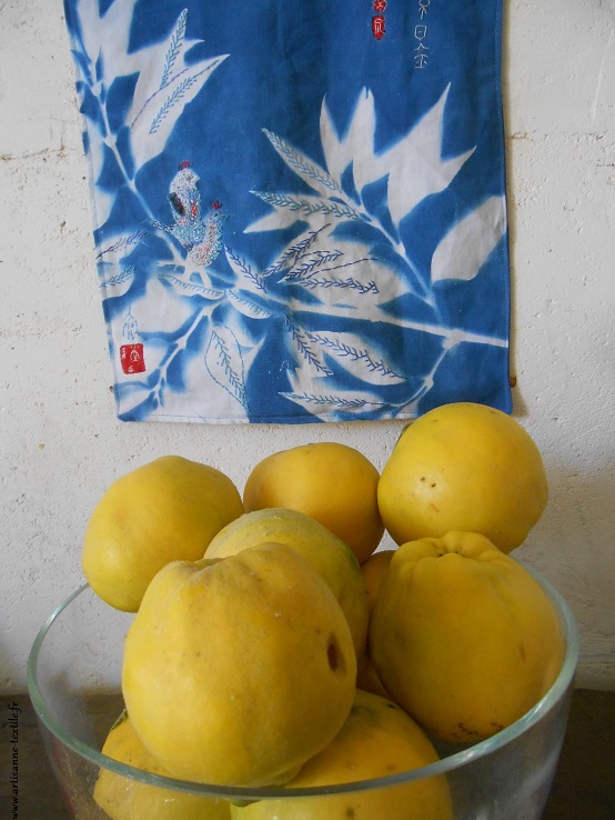 cyanotype rebrodé et coings