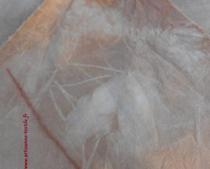 résultats fournée de teinture oignon 1