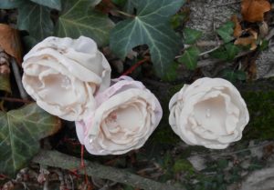 roses blanches en tissu