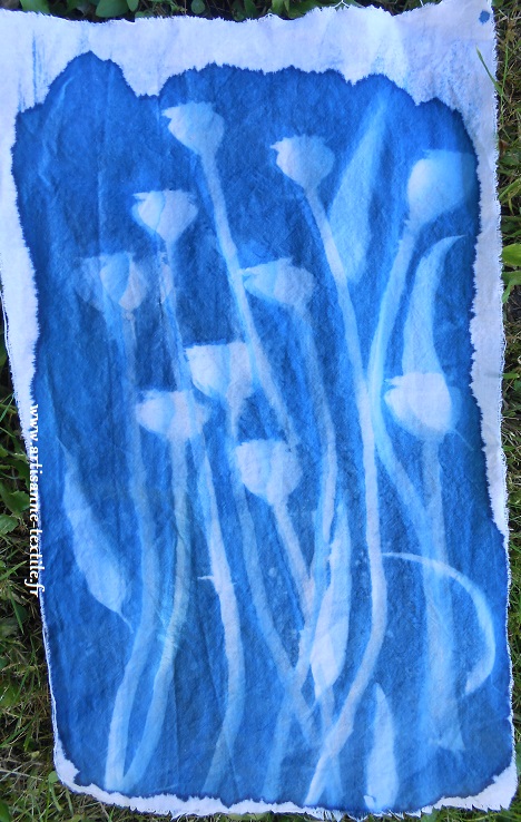 cyanotype sur tissu, 1° photo