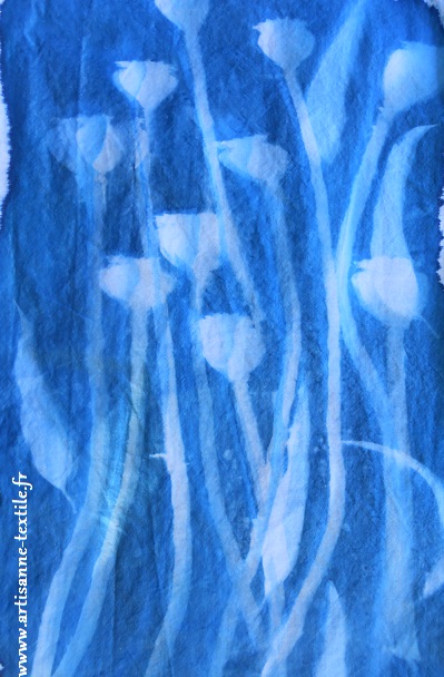 Cyanotype Les pavots