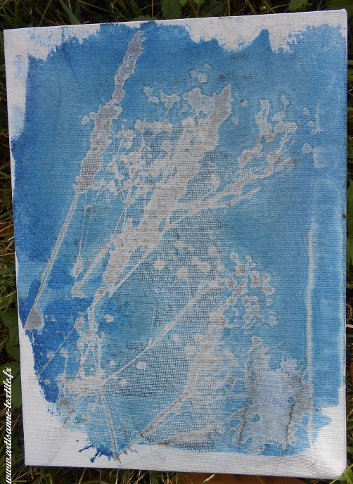 Cyanotype sur toile et chassis