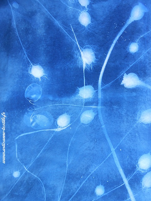 cyanotype sur tissu grande taille: nigelles et pavots