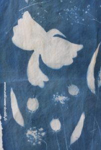 cyanotype avant broderie