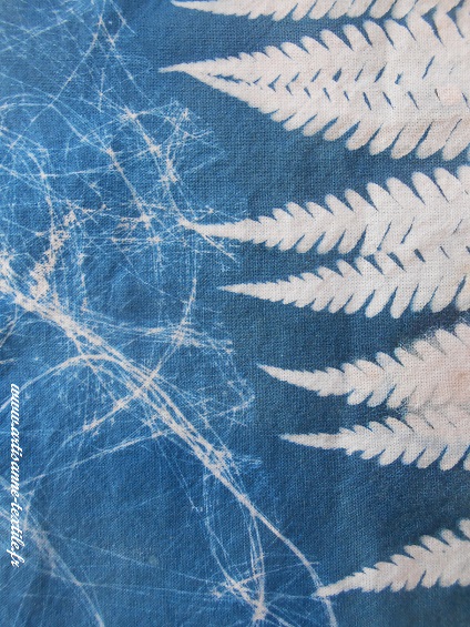 cyanotype sur tissu: la fougère