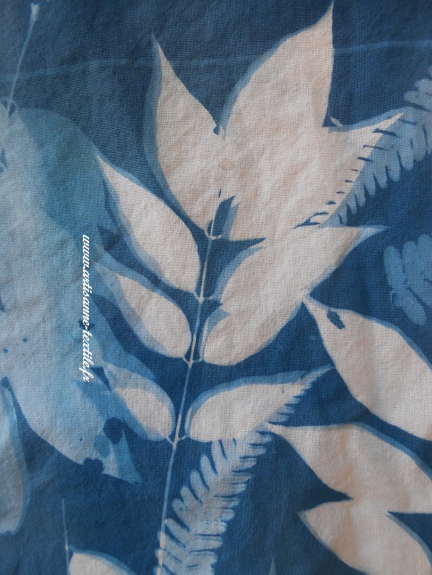 cyanotype sur tissu 3