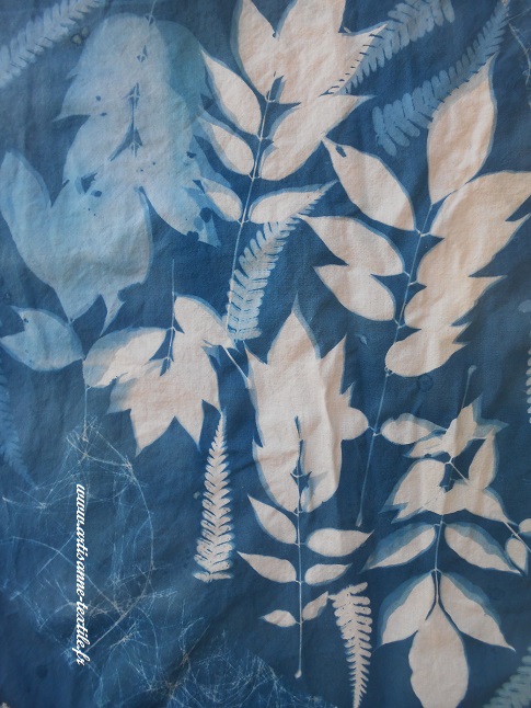 cyanotype sur tissu 3: les glycines