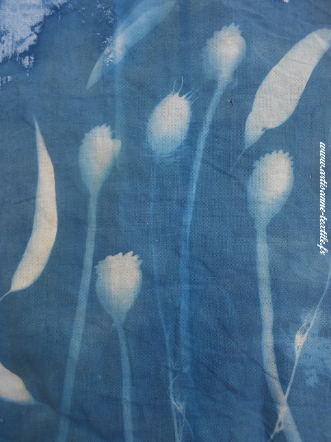 sans association de techniques, cyanotype sur tissu 2