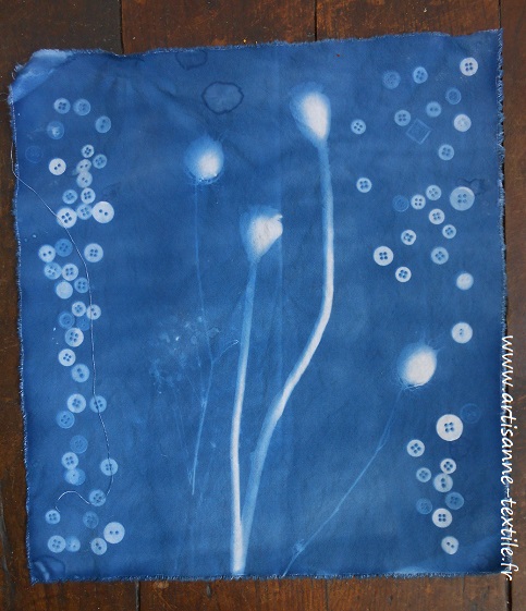 recherche d emotifs de cyanotypes 7