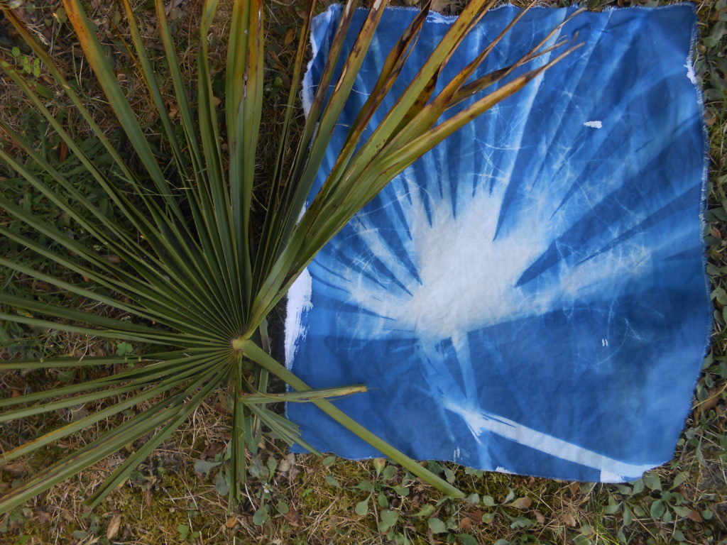 recherche de motifs cyanotypes 4