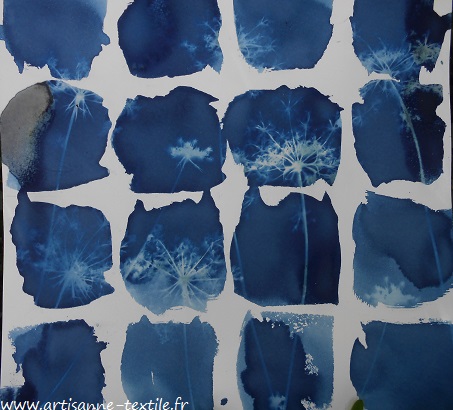 Expériences -cyanotype 1