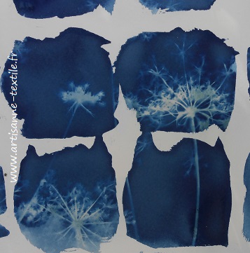 Expériences -cyanotype 1 détail