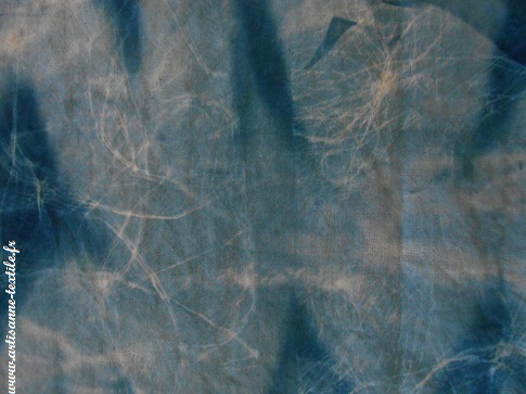 Expérimentattions -cyanotype: Le blanc détail 2