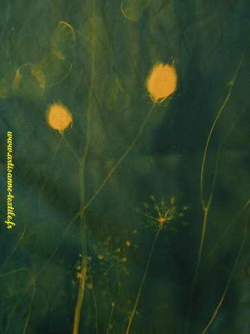sur fond jaune, expérimentations -cyanotype