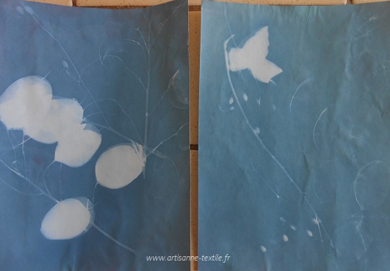 Papier à dessin solaire | Kit de papier d'impression Sun Papier cyanotype -  Papier d'art d'impression de soleil/solaire activé par le soleil de Nature